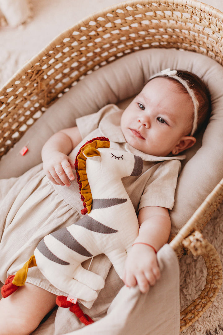 Spieluhr Kikadu Zebra 3