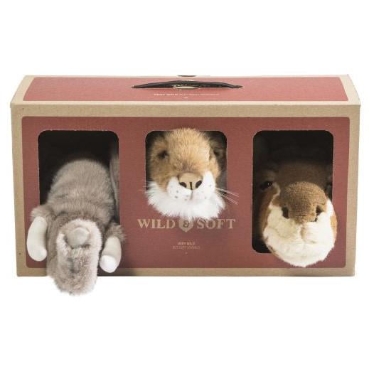 3er Set Box Safari 5