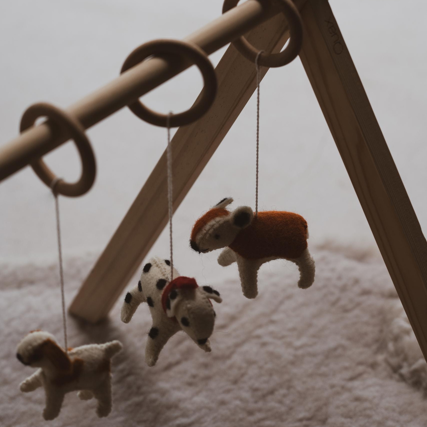 Spielbogen Spielzeug Hund 3