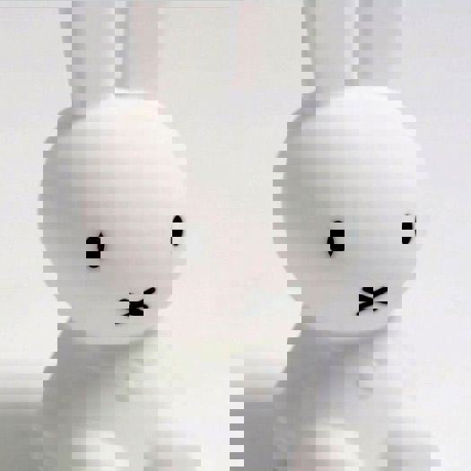 Erste Lampe Mr Maria Miffy 5