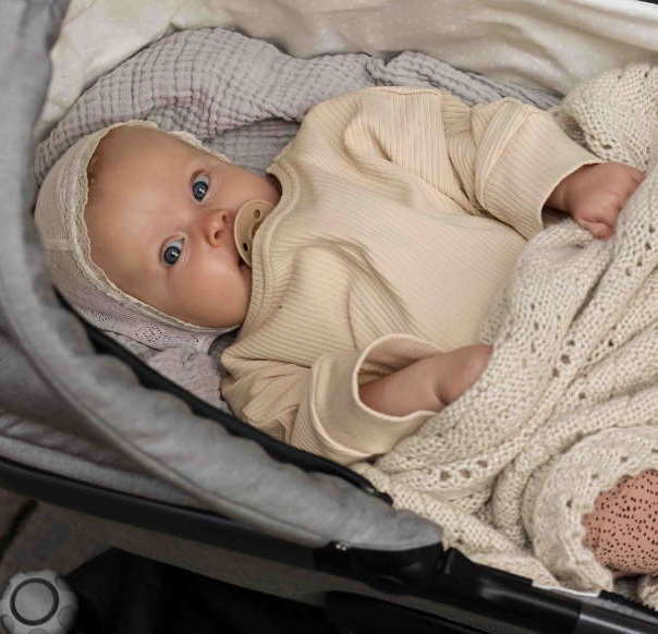 Kinderwagen Lux Evo mit HB Sand 2