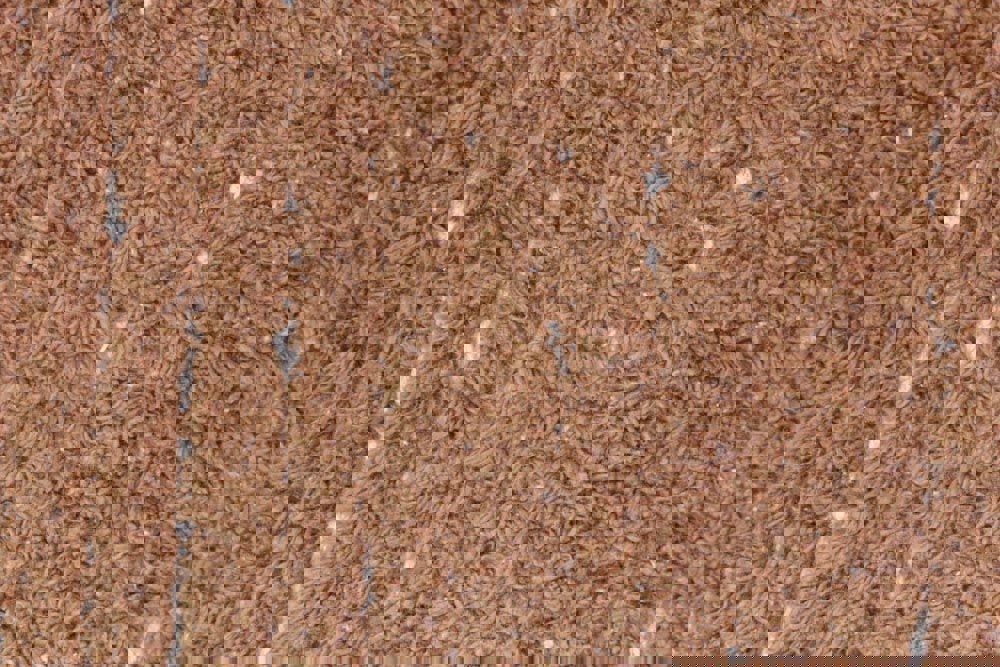 Wendeteppich Duetto Toffee, L 8