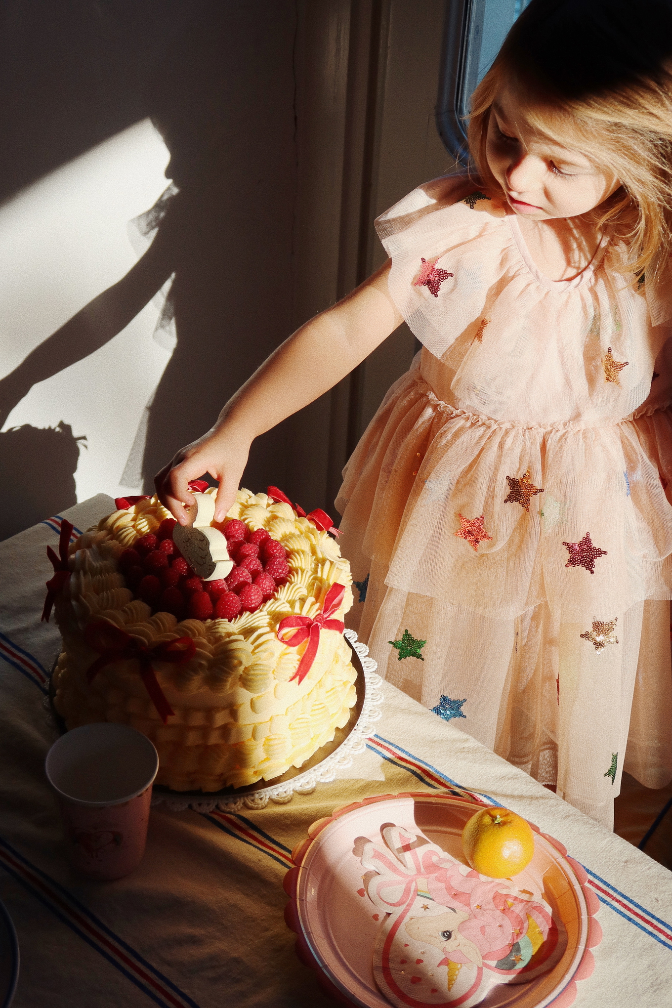 Geburtstags Set Einhorn FSC 4