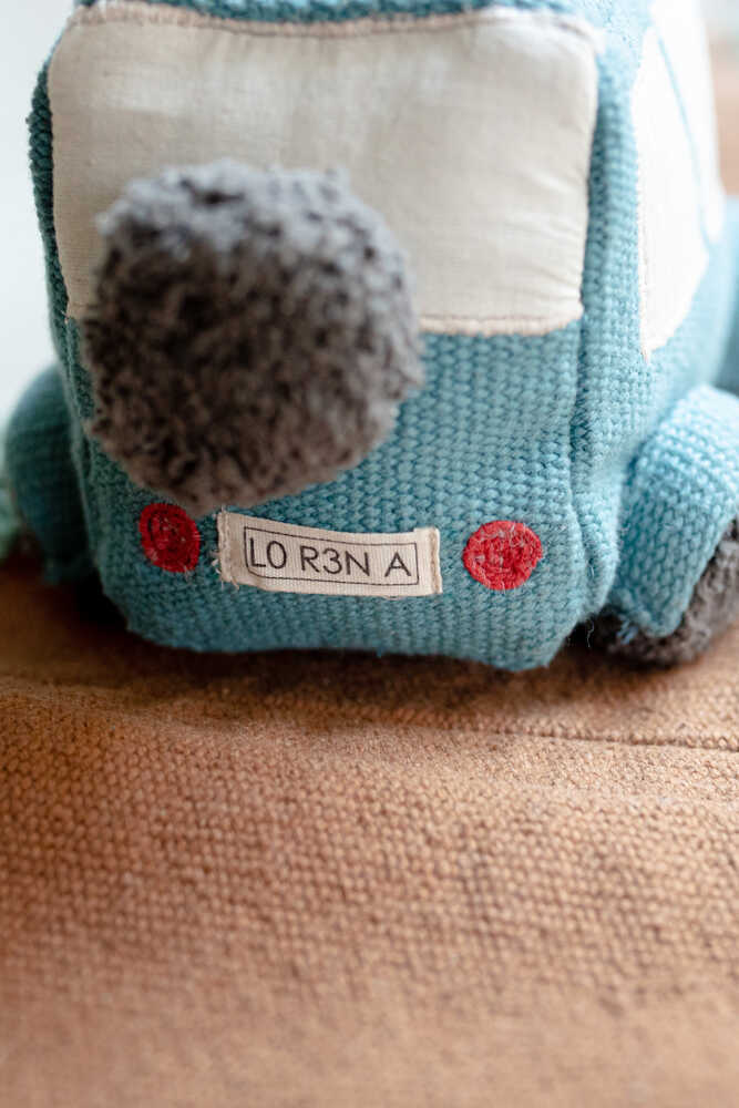 Spielset Ride & Roll Safari 5