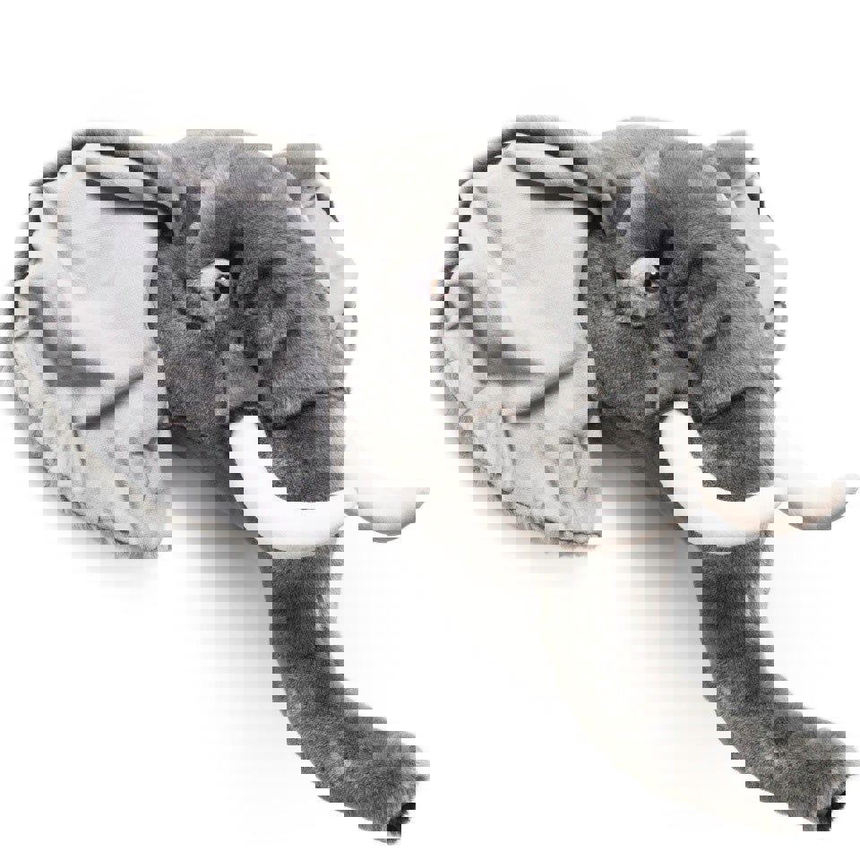 Tierkopf Elefant George 3