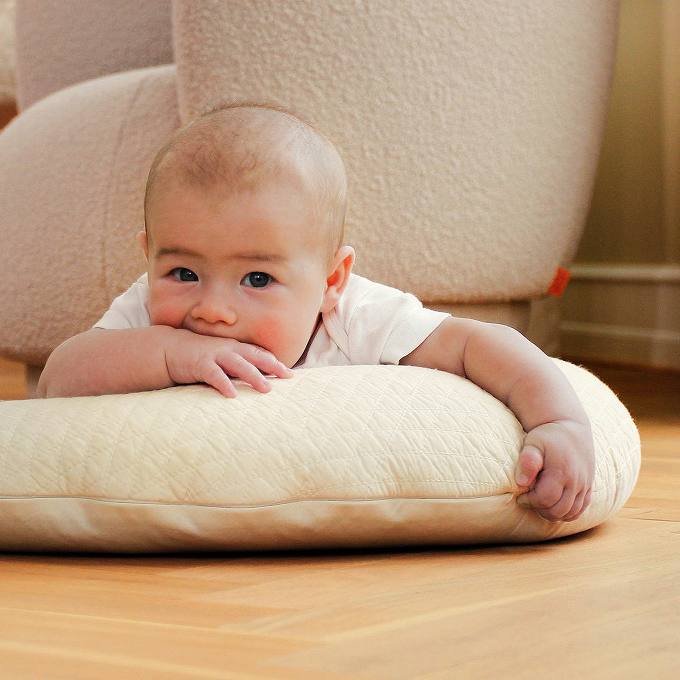 Stillkissen Moon Lunar Rock 4