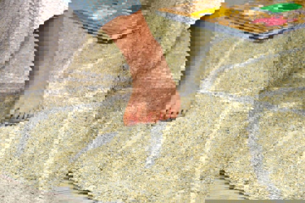 Teppich Monstera Olive, Mini 3