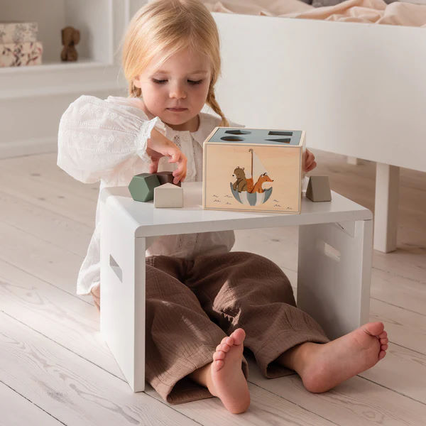 Formensteckspiel World of Sebra 6