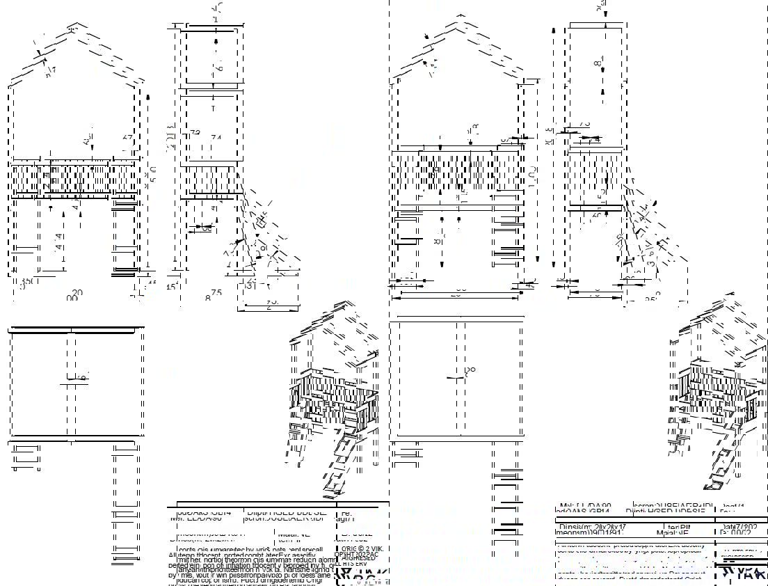 Hausbett Dallas mit Leiter und Rutsche Weiss 4