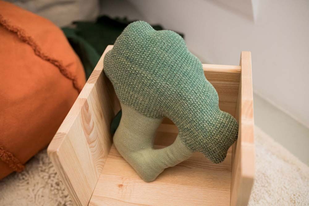 Dekokissen Brucy der Brokkoli #2