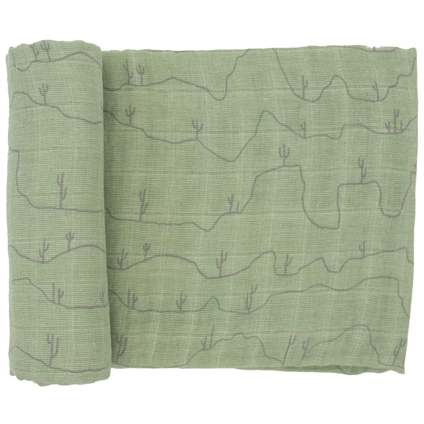 Pucktuch Cactus Lines 1