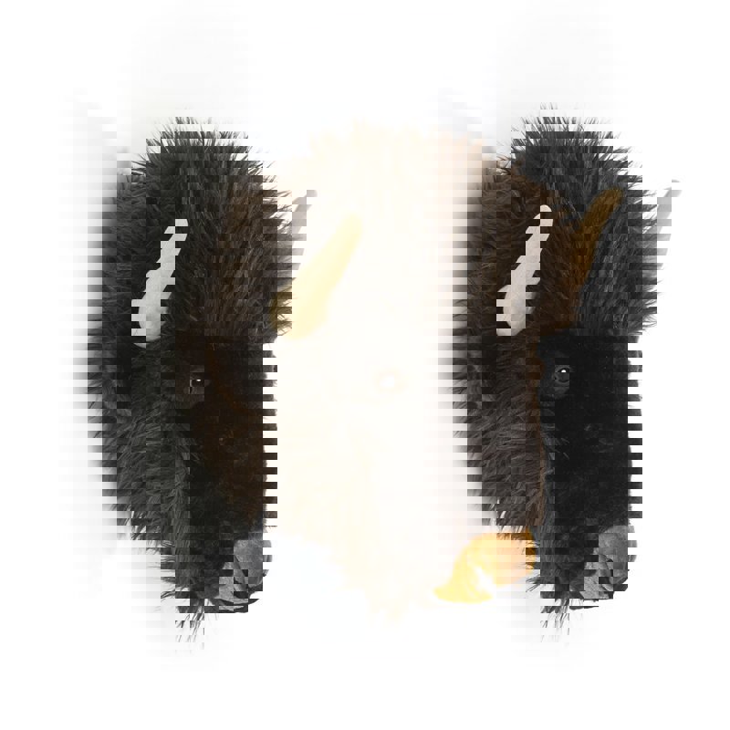 Tierkopf Büffel Alex #2