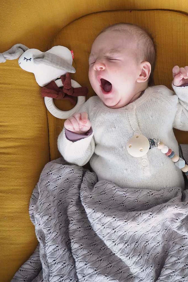 Beissring Hase mit Rassel 4