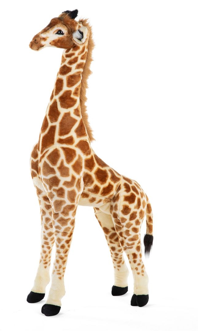 Stehende Giraffe 3