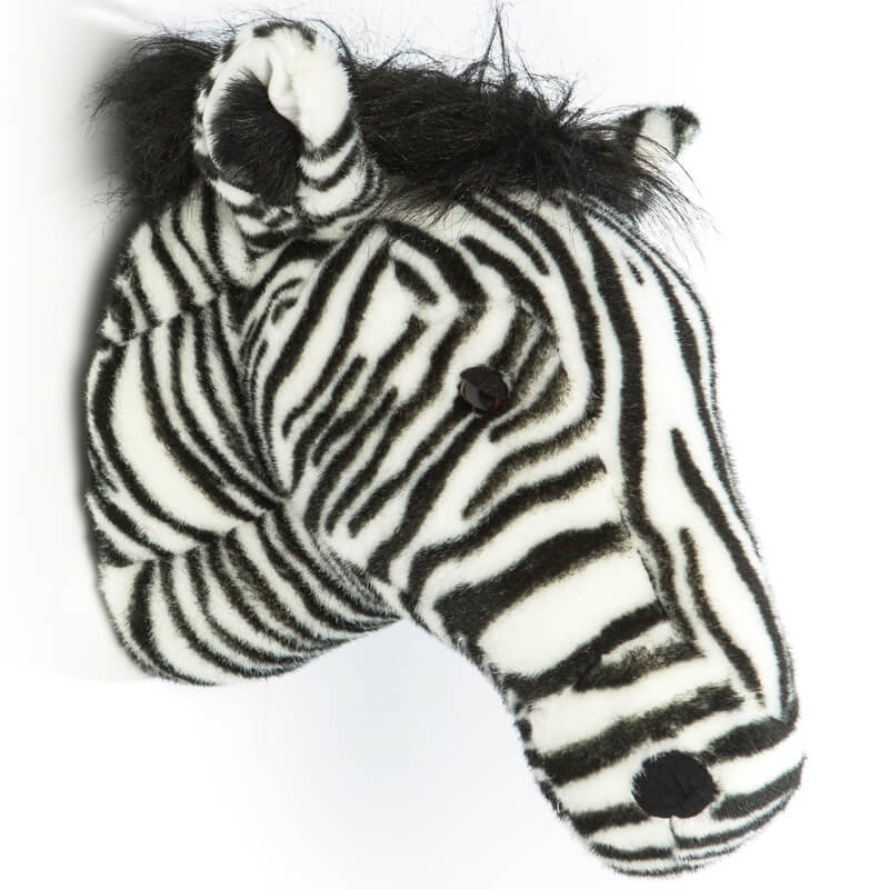 Tierkopf Zebra Daniel 3