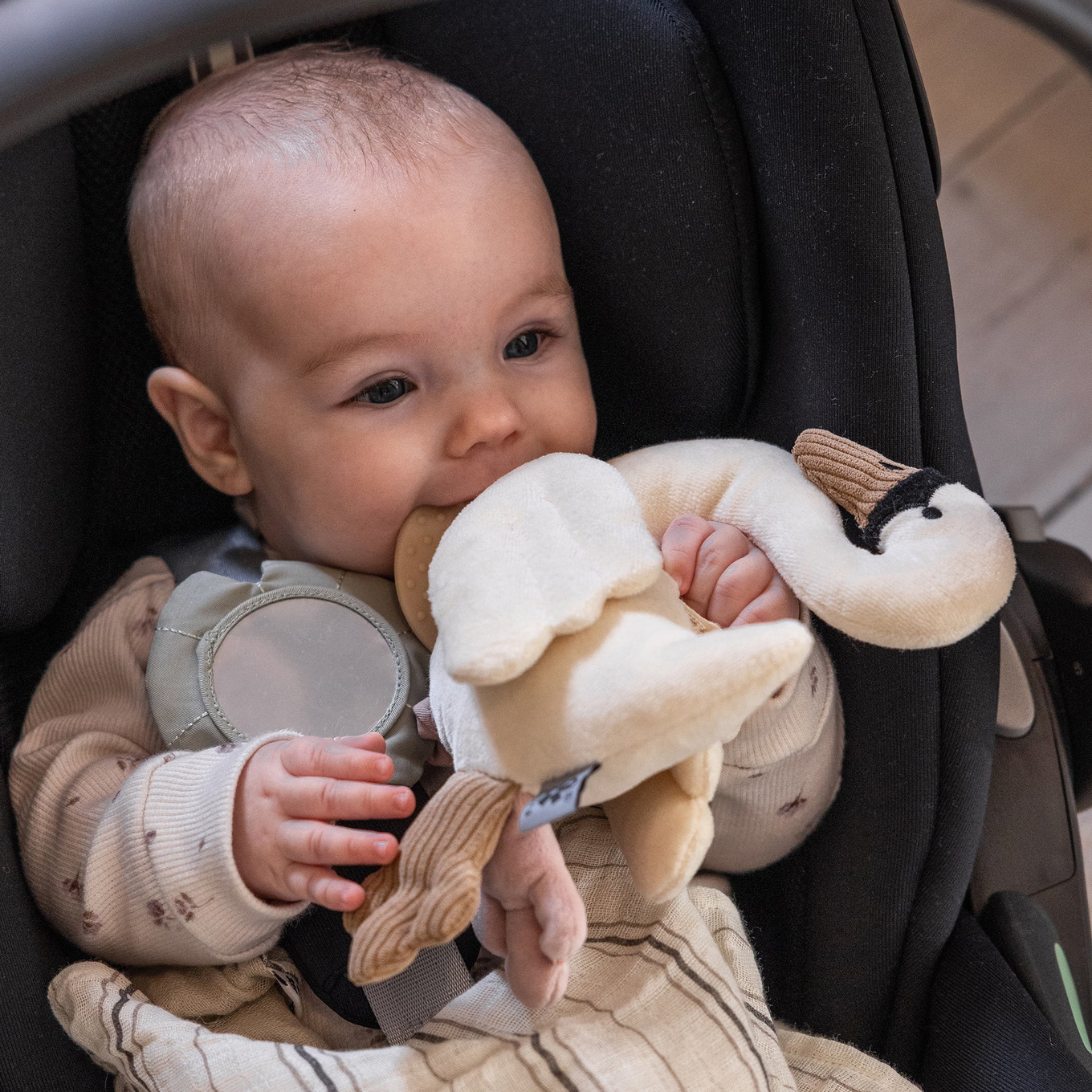 Aktivitätsspielzeug Creamy White 5