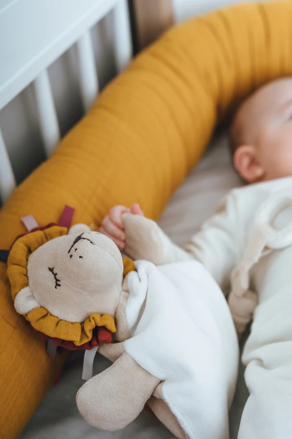 Aktivitätsspielzeug Löwe 6