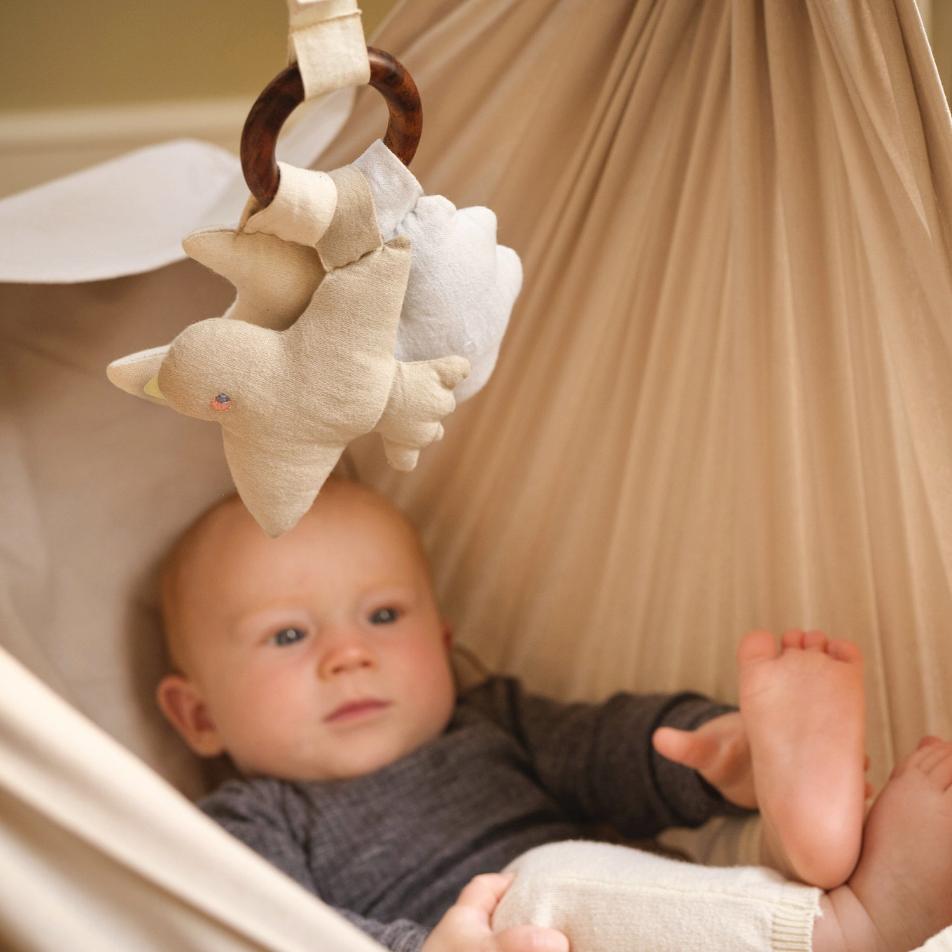 Greifling Vogel Sterne Mond 3