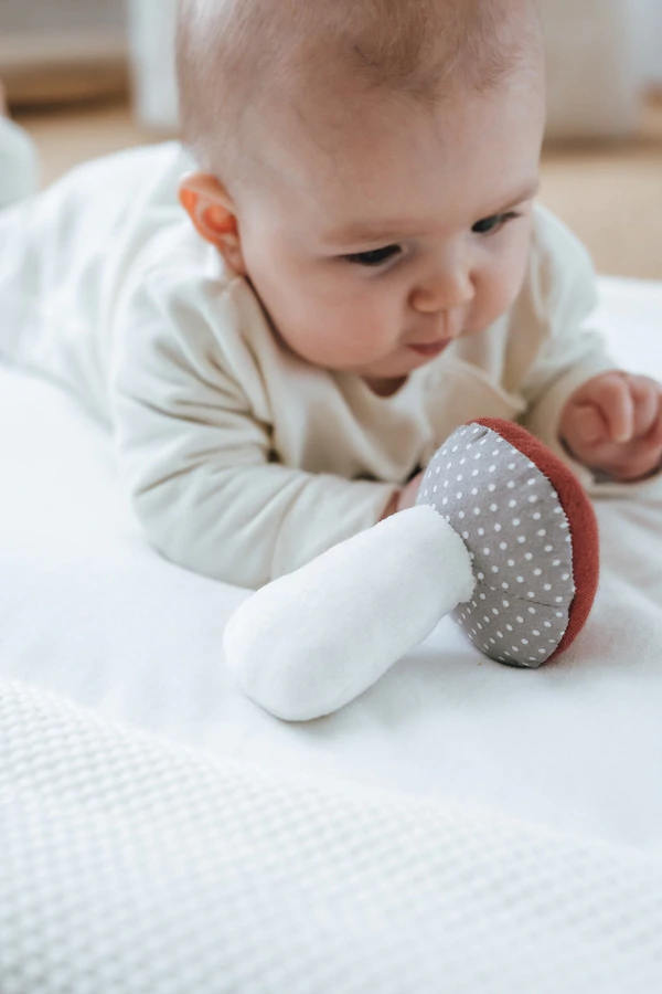 Quietscher Pilz Punkte 3