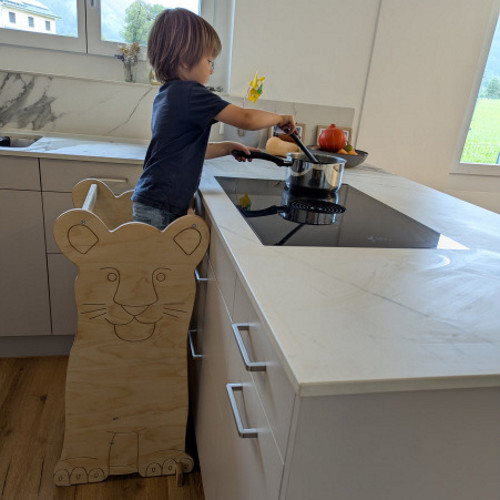 Lernturm Löwe Schtägeri 3