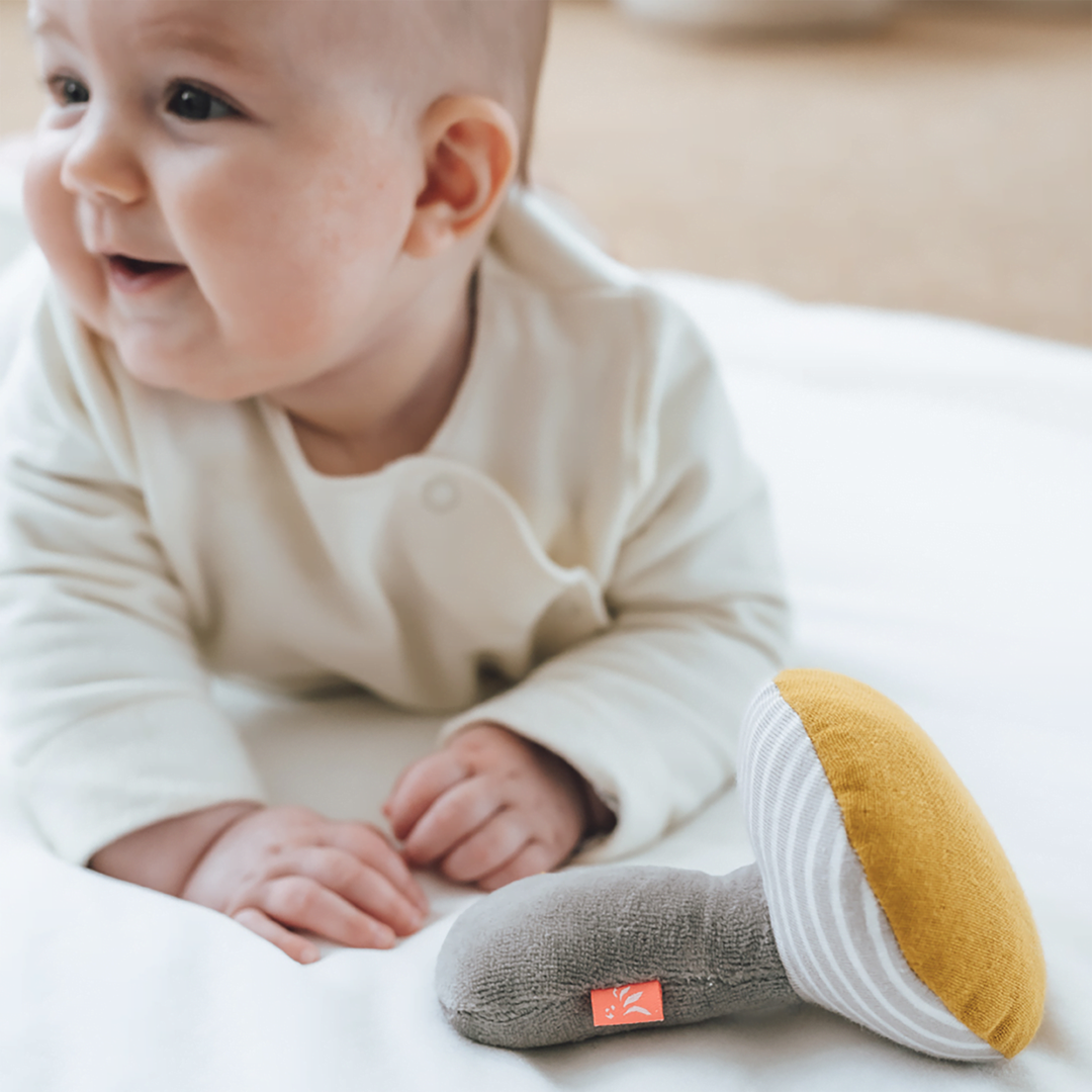 Rassel Pilz Gestreift 3