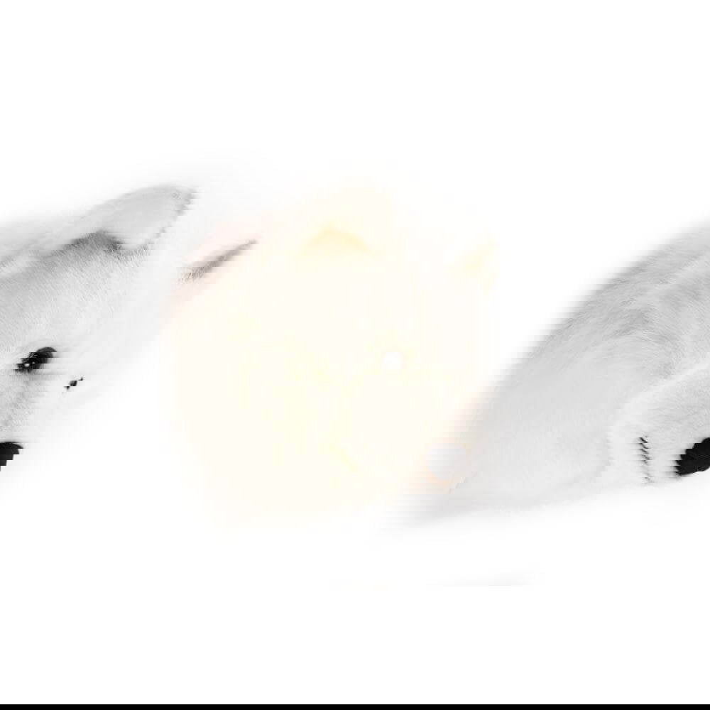 Tierkopf Weisse Wölfin Lucy 3