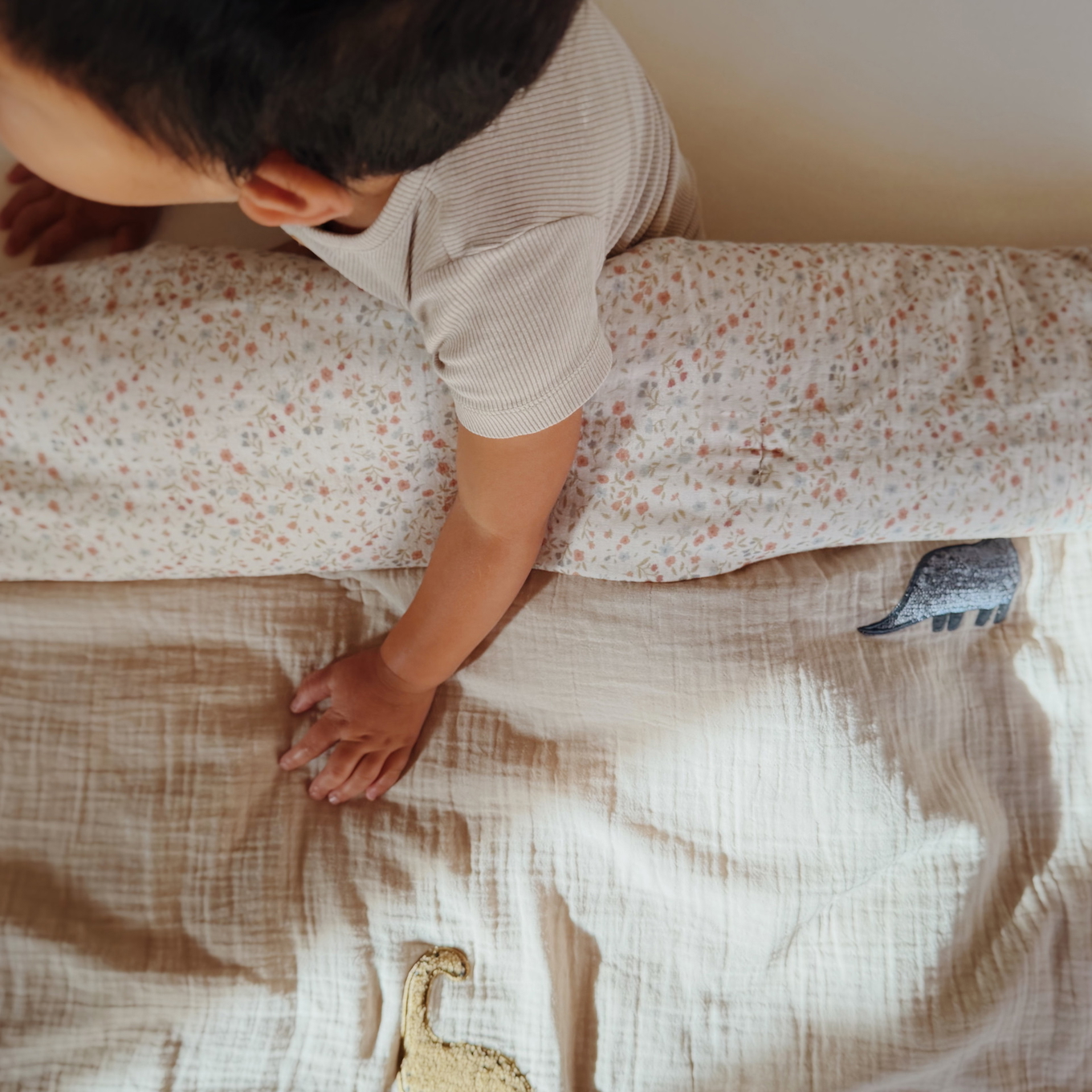 Decke Nova Colourful Dinos #2