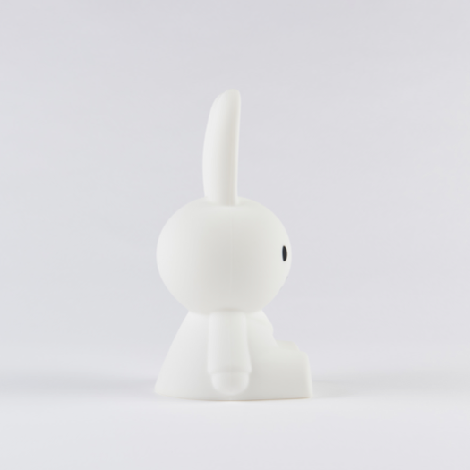 Erste Lampe Mr Maria Miffy 3