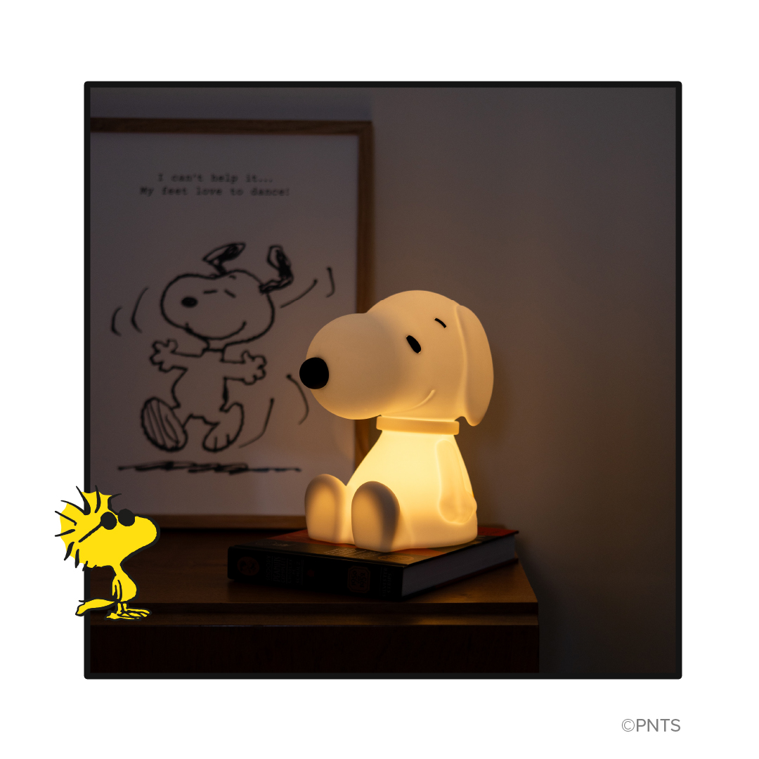 Erste Lampe Mr Maria Snoopy 11
