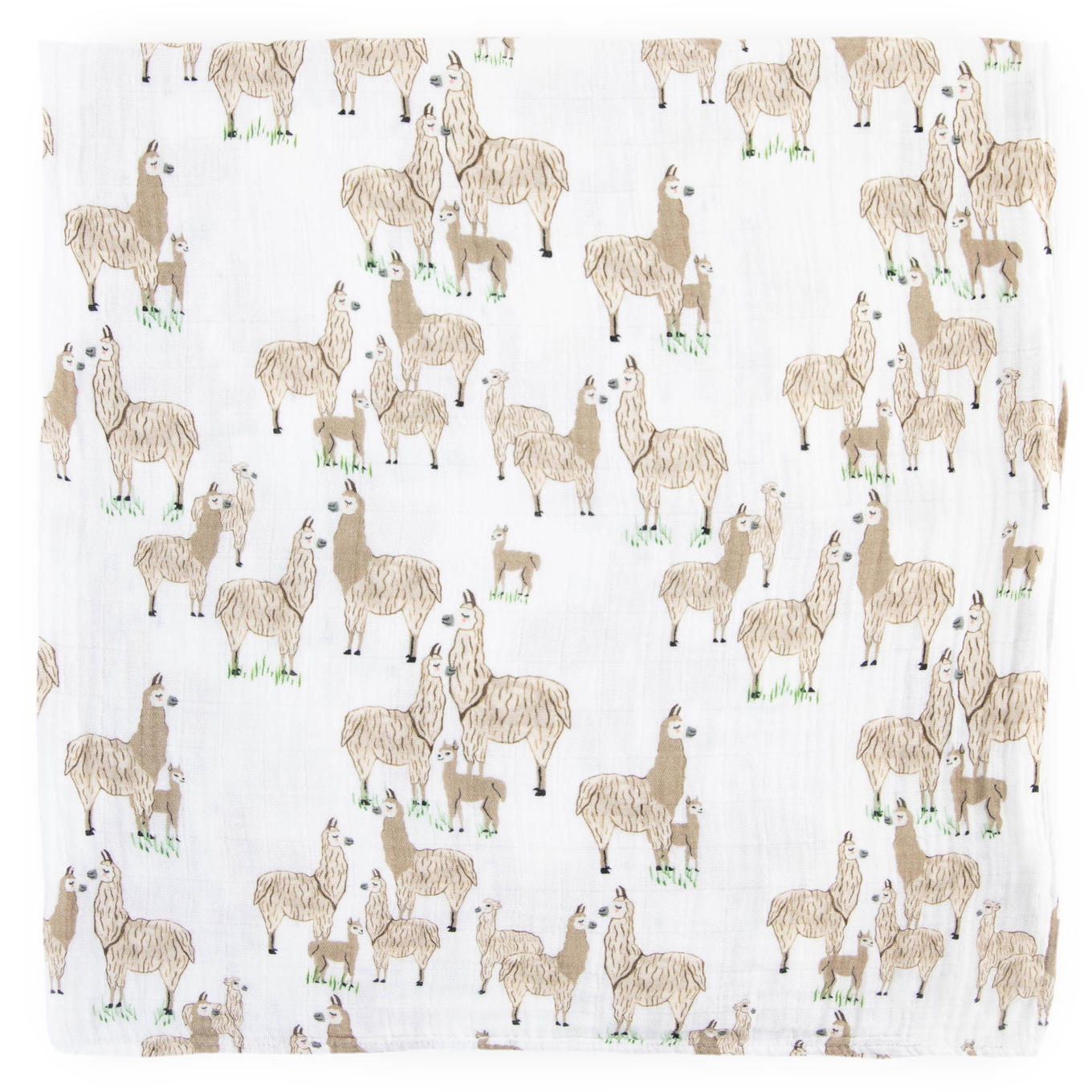 Pucktuch Lama 7