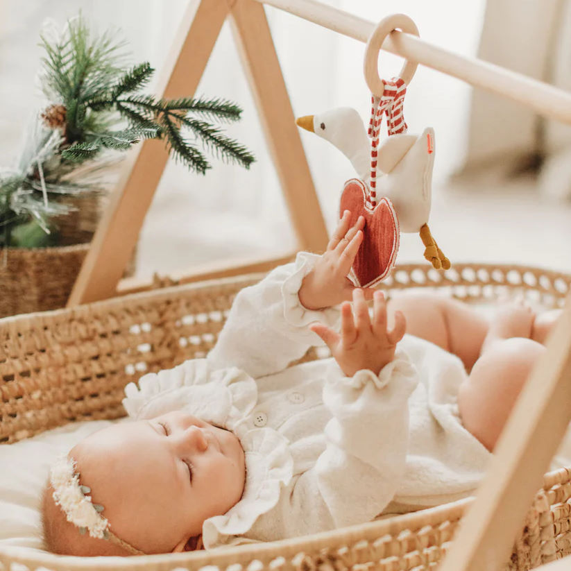 Beissring Gans und Herz 3