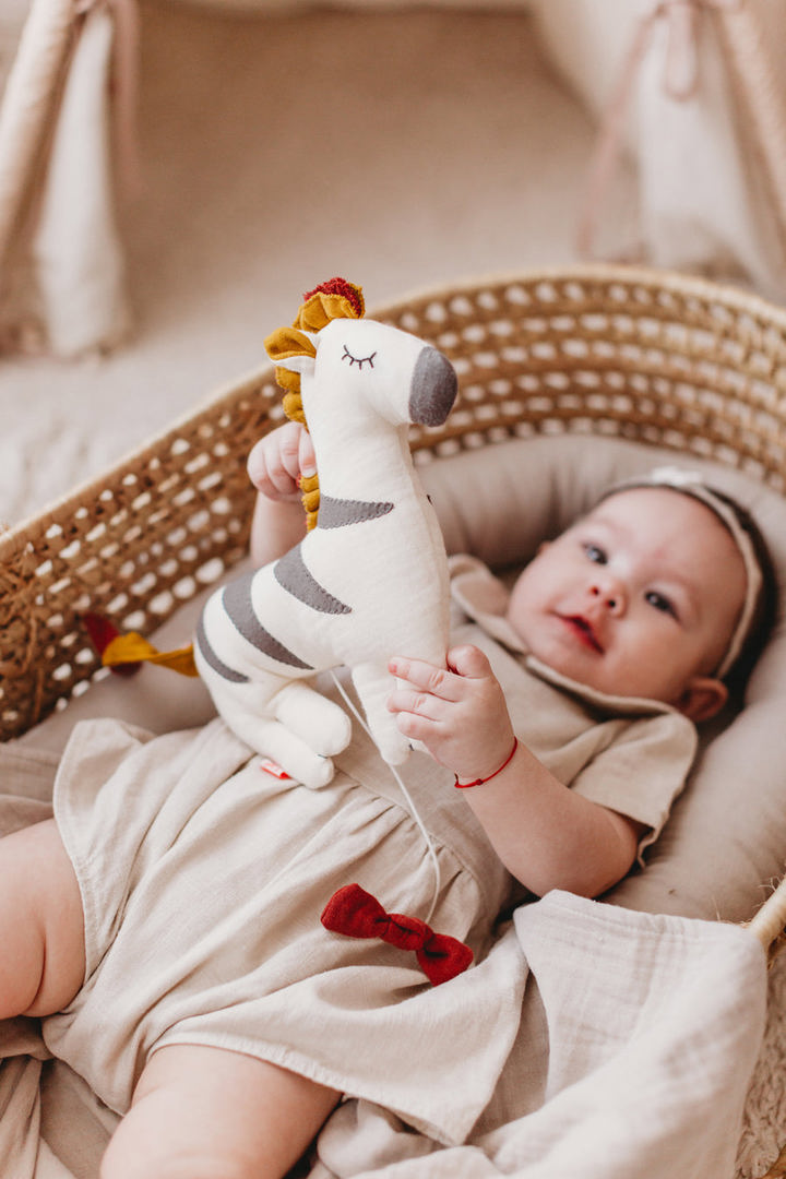 Spieluhr Kikadu Zebra 2