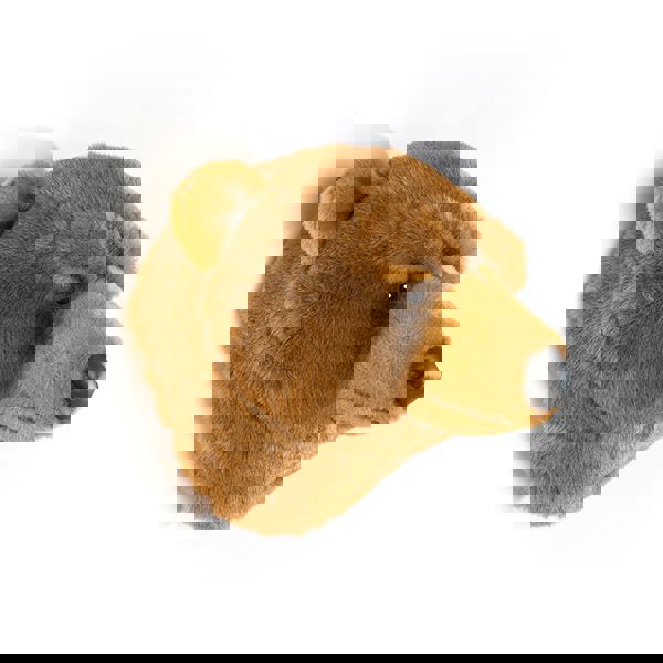 Tierkopf Grizzlybär Oliver 4