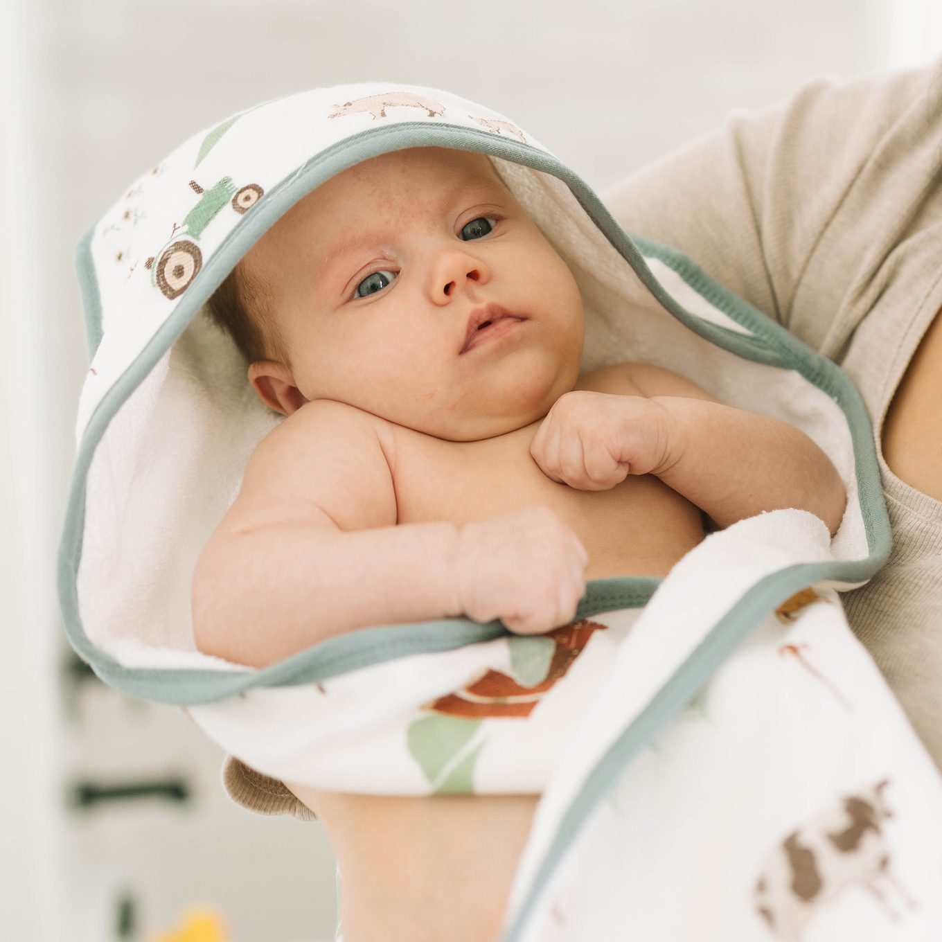 Kapuzenhandtuch Farmyard 3