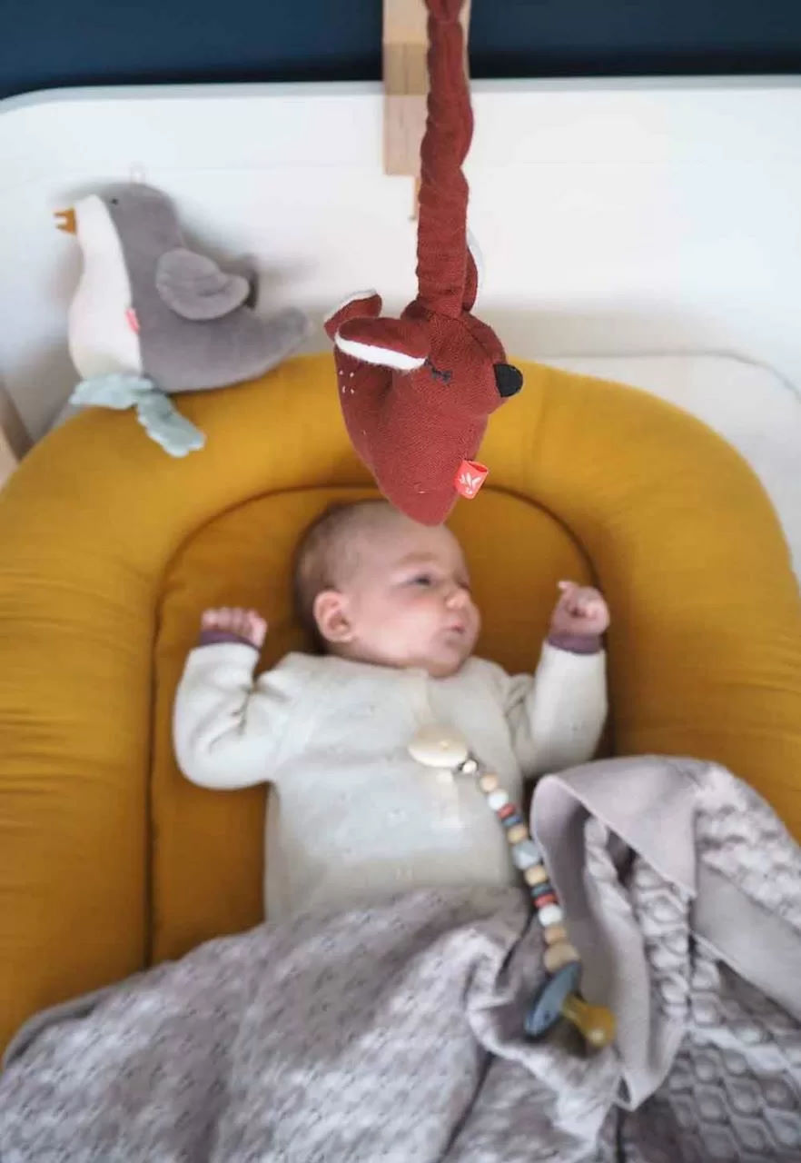 Minimobile Rehkitz mit Pfeifer 3