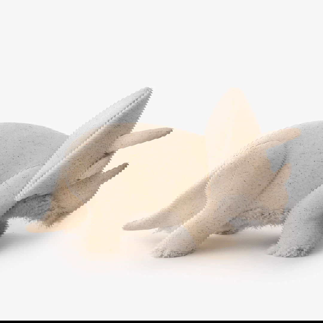 Albino Trino Gross 4