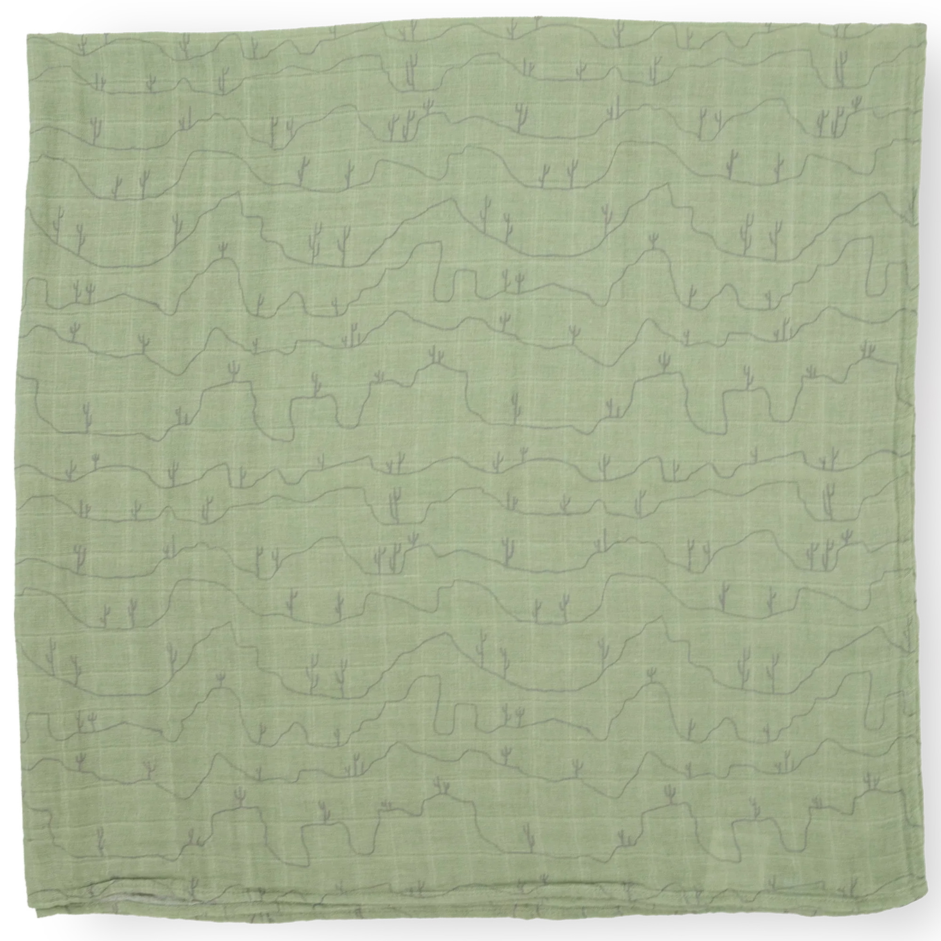 Pucktuch Cactus Lines 7