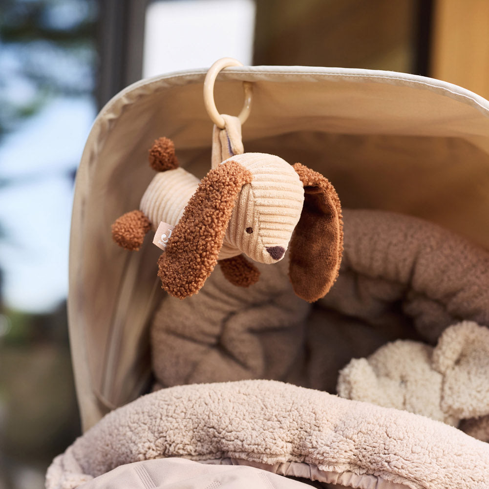 Kinderwagen-Anhänger Diego 4