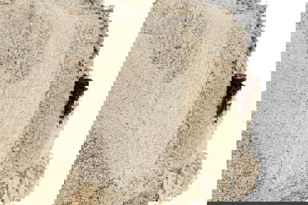 Sitzkissen Mossy Rock 6