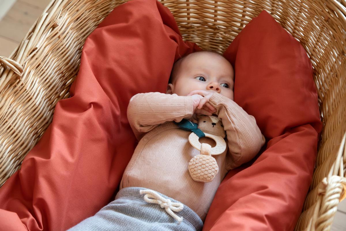 Aktivitätsrassel Milo Bär 3