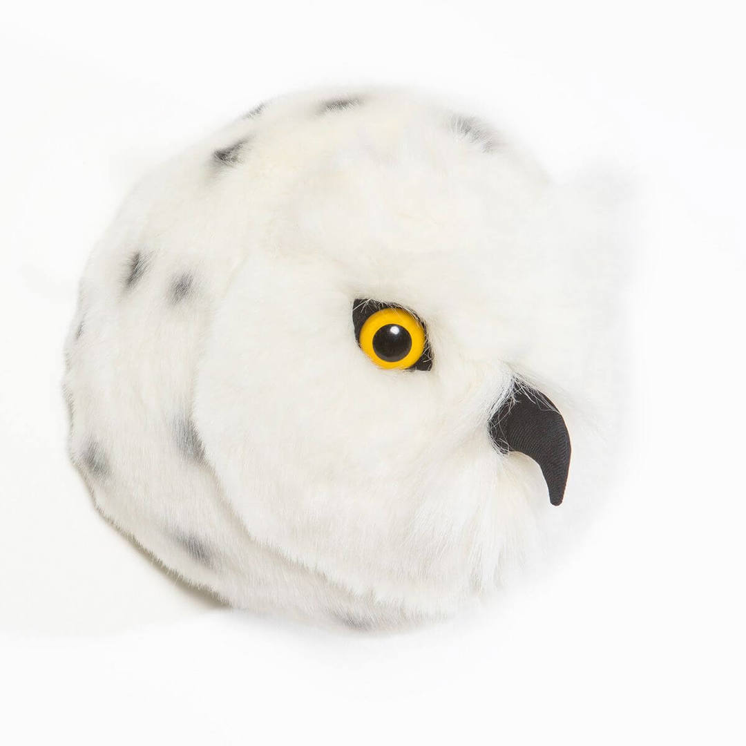 Tierkopf Eule Chloe 3