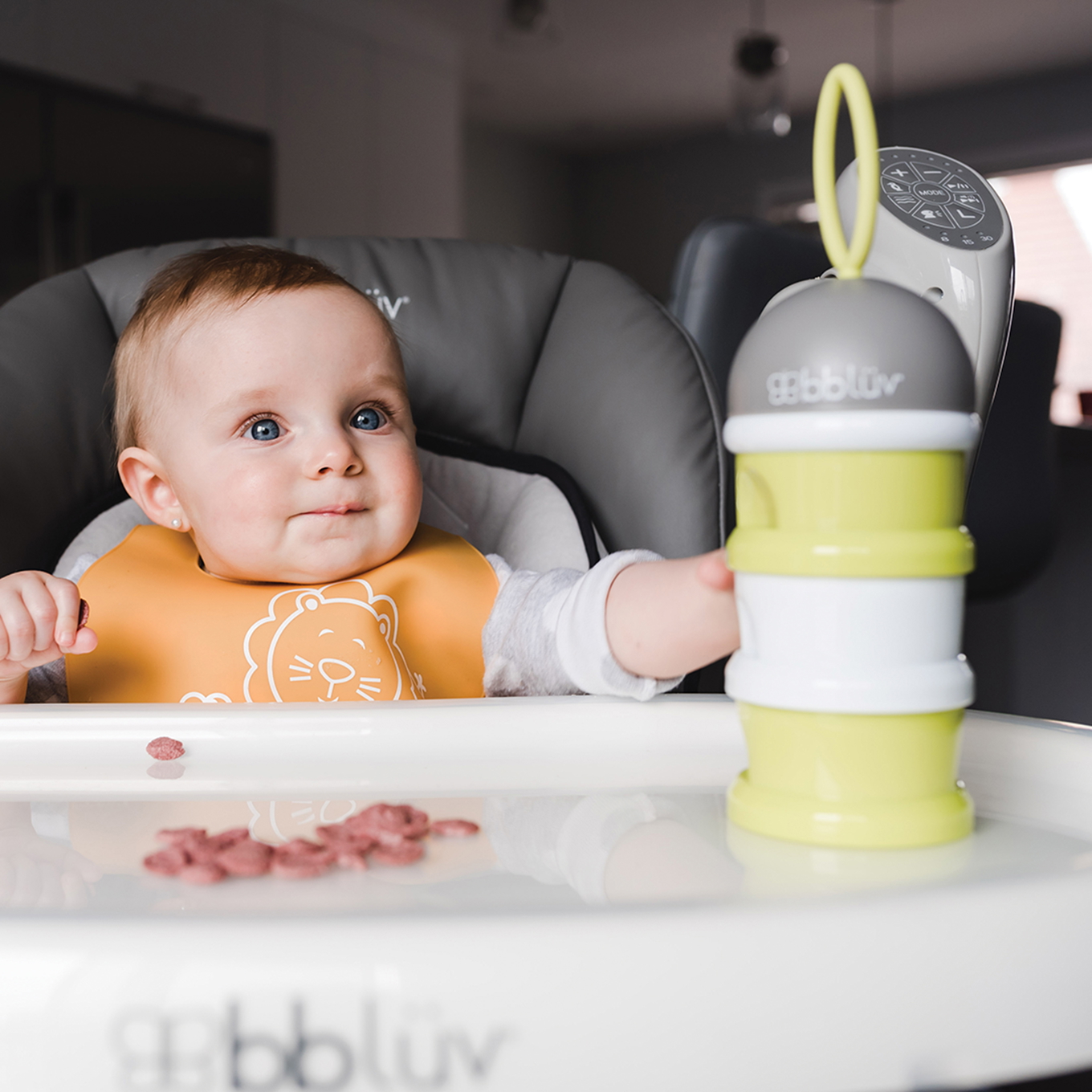 Snack- und Milchpulver Behälter 6