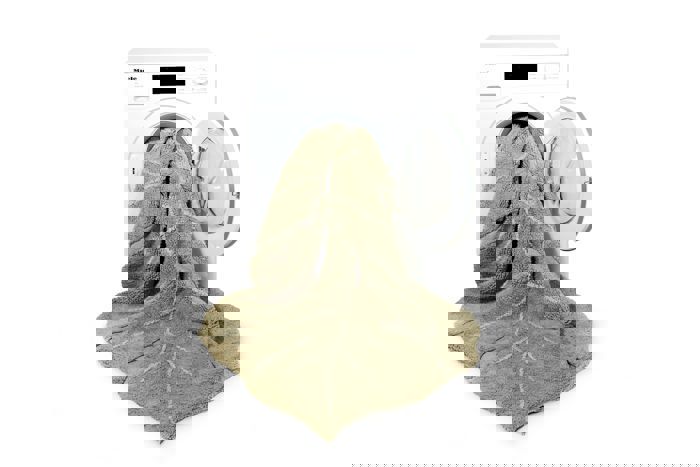 Teppich Monstera Olive, S 4