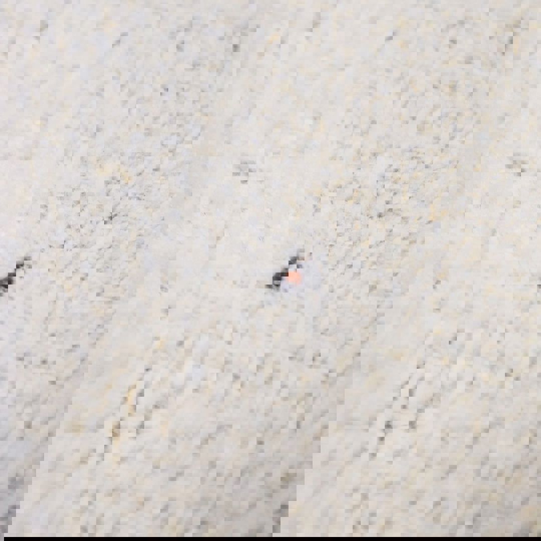 Teppich Kusumi 67 x 130 cm 6