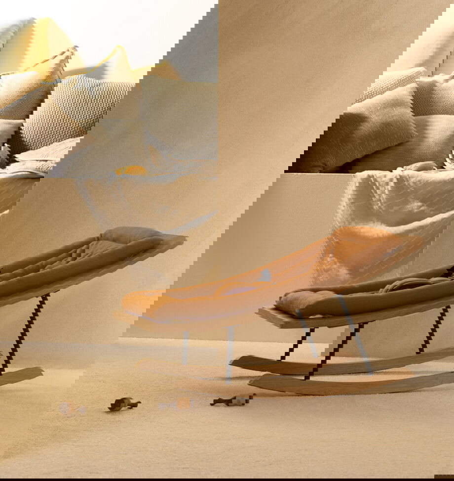 Babywippe Rocking Bouncer Terra 3