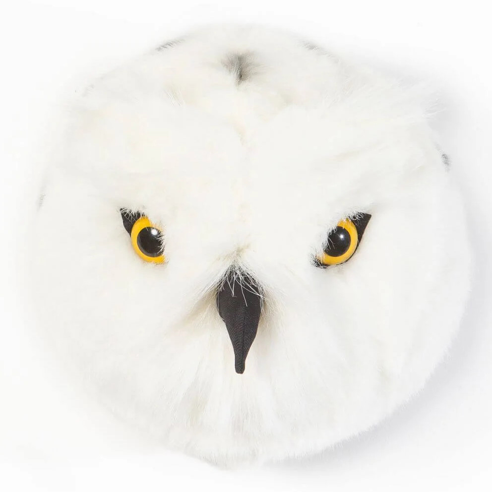 Tierkopf Eule Chloe 1