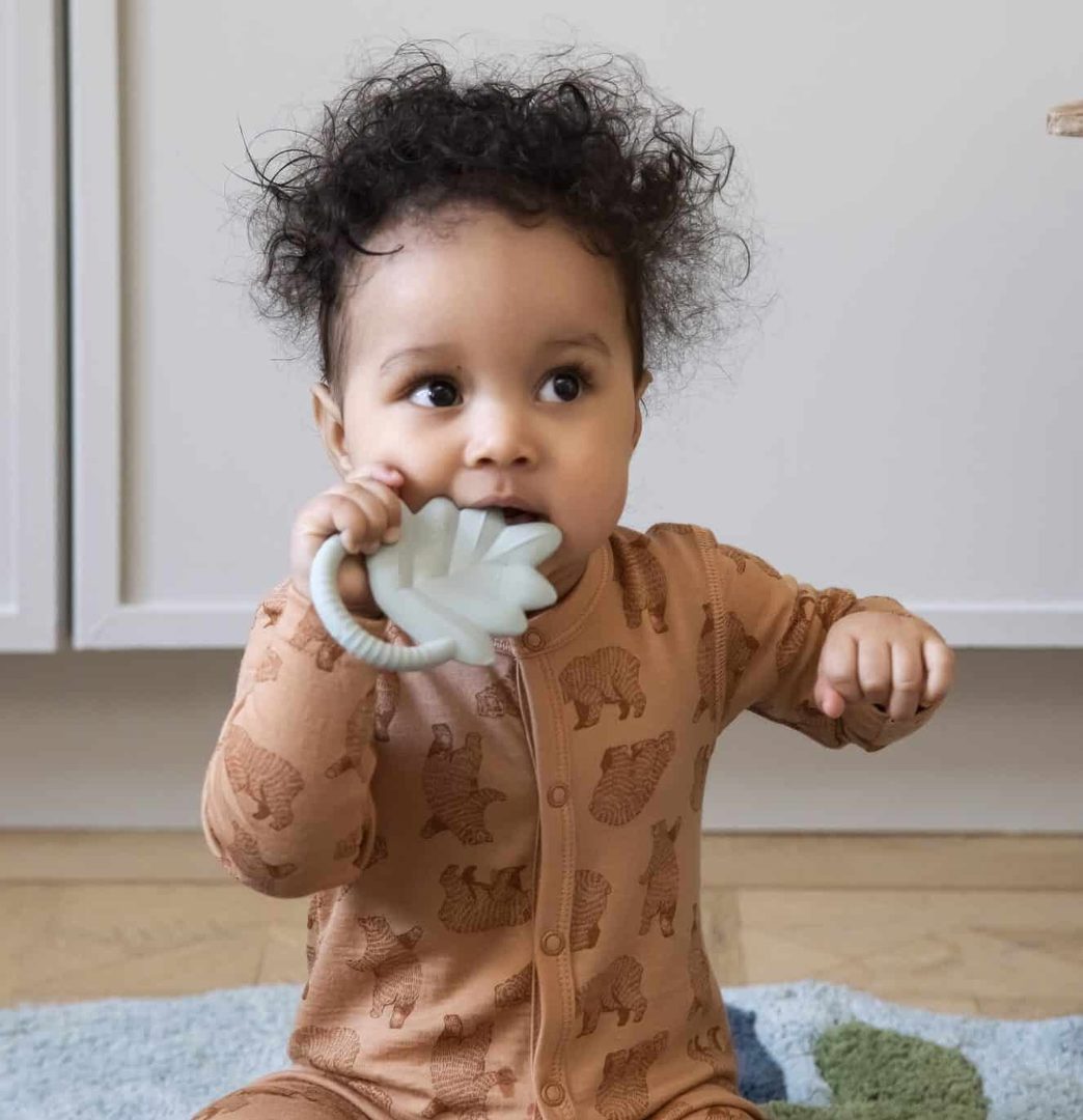 Beissring Blatt Mint 2