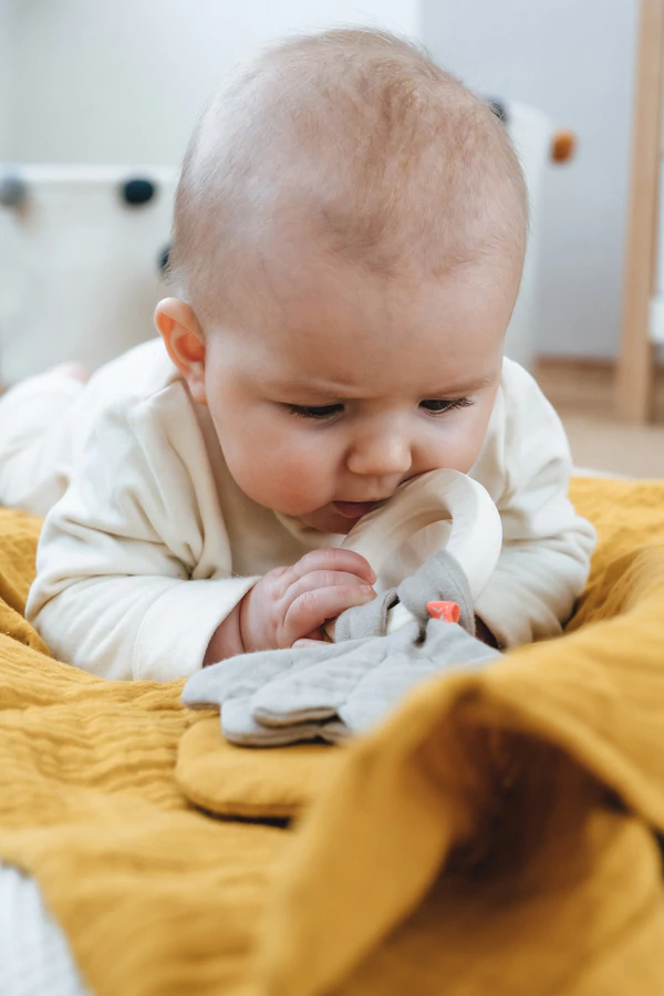 Beissring mit Knister-Ahorn 2