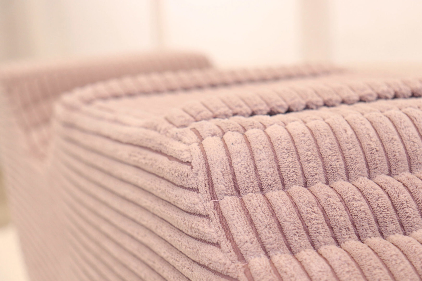 Hocker Rockus Lincoln Rosa 6