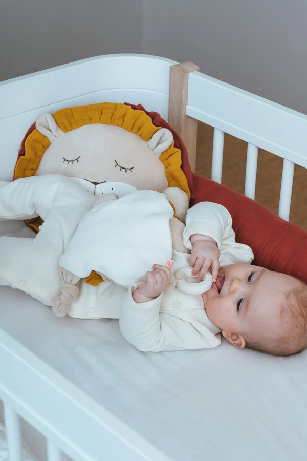 Aktivitätsspielzeug Löwe 4